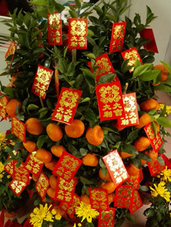 公司春節(jié)假期安排
